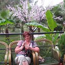  , -, 54  -  28  2012    