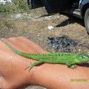 ���� ������, ������� - ��������� 11 ��� 2012 � ������ ���� ����������