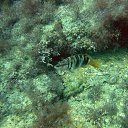 ���� �����, ���������, 48 ��� - ��������� 21 ������� 2012 � ������ ���� ����������