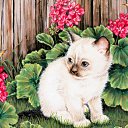 ���� ����� - ���������� ��������!!!, �����������, 56 ��� - ��������� 14 ������� 2009 � ������ ���������� �������Ż