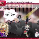  , , 39  -  21  2011   PetLove
