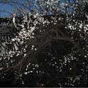 ���� ���� ����, ����������, 50 ��� - ��������� 19 ����� 2010 � ������ ������-2009�