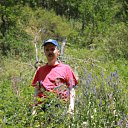 ���� ����, ������, 48 ��� - ��������� 22 ������ 2012 � ������ ���� ����������