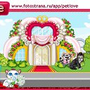  ******, , 24  -  3  2011   PetLove