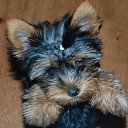 ���� ������& ������, ������, 51 ��� - ��������� 29 ����� 2011 � ������ ��, �������, �������...�