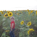 ������ ����� �� ������� ���� ����������