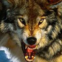 ���� �������, �����-���������, 53 ���� - ��������� 13 ������ 2011