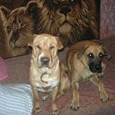 ���� ��� ����, ����, 67 ��� - ��������� 20 ��� 2011 � ������ �������