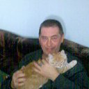 ���� ���������, ������, 62 ���� - ��������� 8 ������� 2013 � ������ ���� ����������