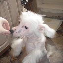 ���� ������-������� ��� ���� �����, ��������, 85 ��� - ��������� 27 ����� 2010 � ������ ������ �������