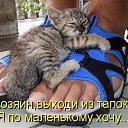 ���� �����, ������ �����, 50 ��� - ��������� 4 ������� 2009 � ������ ��������� ��������