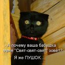 ���� ����, ������, 60 ��� - ��������� 26 �������� 2010 � ������ �������� ������������