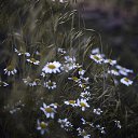 ���� ��������, �������, 58 ��� - ��������� 14 ���� 2013 � ������ ������� �������