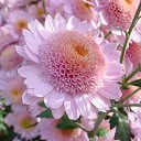 ���� ����� - ���������� ��������!!!, �����������, 56 ��� - ��������� 11 ������ 2010 � ������ ����������