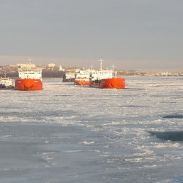 ���� Viktor, ����, 52 ���� - ��������� 18 ������� 2012