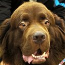 ���� �������, �����, 40 ��� - ��������� 8 ������� 2012 � ������ �������