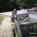 ���� �������, ���������� - ��������� 1 �������� 2012 � ������ ���� ����������