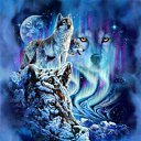 ���� Valera, ������ - ��������� 23 ������ 2013 � ������ ���� ����������