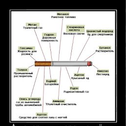 ���� �����, ����, 50 ��� - ��������� 28 ������ 2010