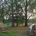 ���� ���������, �����-���������, 71 ��� - ��������� 5 ������� 2012 � ������ �������