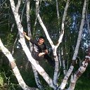 ���� �����, ���������, 40 ��� - ��������� 23 ���� 2013