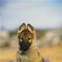 ���� �����, ���� - ��������� 26 ������� 2013 � ������ ���� ������ ������� �����, ��� ������ �������� ������)))�