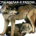 ������� ������ �������, ��� ������� ����������. �� ������ ����� ������� �����, ������ � ����������� � ���. ���� ���� ��� �������� �������.... �� ������� ���� ����������