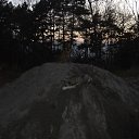  , , 41  -  15  2010   ~ ~ ~