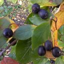 ���� ���, ����� - ��������� 28 �������� 2010 � ������ ��������� ������������