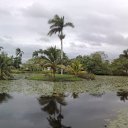 ���� Andrey, �����������, 45 ��� - ��������� 26 ������ 2011 � ������ �������