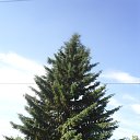 ���� ������, ����, 49 ��� - ��������� 3 ���� 2013 � ������ ���� ����������