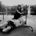���� ��������, �����������, 29 ��� - ��������� 10 ������� 2011 � ������ �Vampire-set�