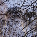 ���� �����, ������, 51 ��� - ��������� 20 ������� 2010 � ������ ������ � ��� ����������