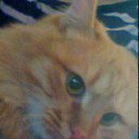 ���� ����, ���������, 22 ���� - ��������� 25 ������� 2012 � ������ ���� ����������