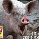 ���� Oleg !Bog-dan!&reg;, ����, 48 ��� - ��������� 11 ���� 2009 � ������ ����������