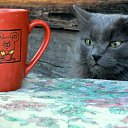 ���� ������, ������������, 53 ���� - ��������� 30 ������� 2010 � ������ ����������� �������� ����.�