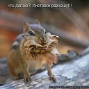 ���� Red, ������� - ��������� 18 ������ 2011