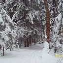 ���� �������, ������, 66 ��� - ��������� 21 ����� 2012 � ������ ���� ����������
