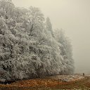���� ��������, ������, 62 ���� - ��������� 7 ������� 2013 � ������ ���� ����������