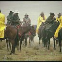 ���� �����, ����-���������, 49 ��� - ��������� 18 ���� 2012