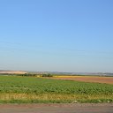  , , 66  -  28  2012   2012