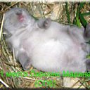 ���� ����, ������-��-����, 40 ��� - ��������� 5 ����� 2012 � ������ ���� ����������