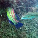 ���� �����, ���������, 48 ��� - ��������� 21 ������� 2012 � ������ ���� ����������