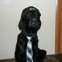 ���� ���������, ������, 52 ���� - ��������� 27 ���� 2012 � ������ ���� ����������