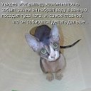 ���� Ivan, ������ - ��������� 24 ������ 2011 � ������ �������