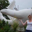 ���� ����, �������, 42 ���� - ��������� 27 ��� 2012 � ������ ���� ����������