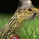  Serzh Van Der Maaremaan,  -  1  2009   