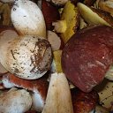 ���� ��� �����, �����������, 50 ��� - ��������� 1 ���� 2009 � ������ ������� �����