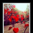 ���� �����, ������, 45 ��� - ��������� 11 ������ 2011 � ������ ���������