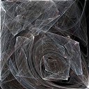  ,  -  26  2010    
